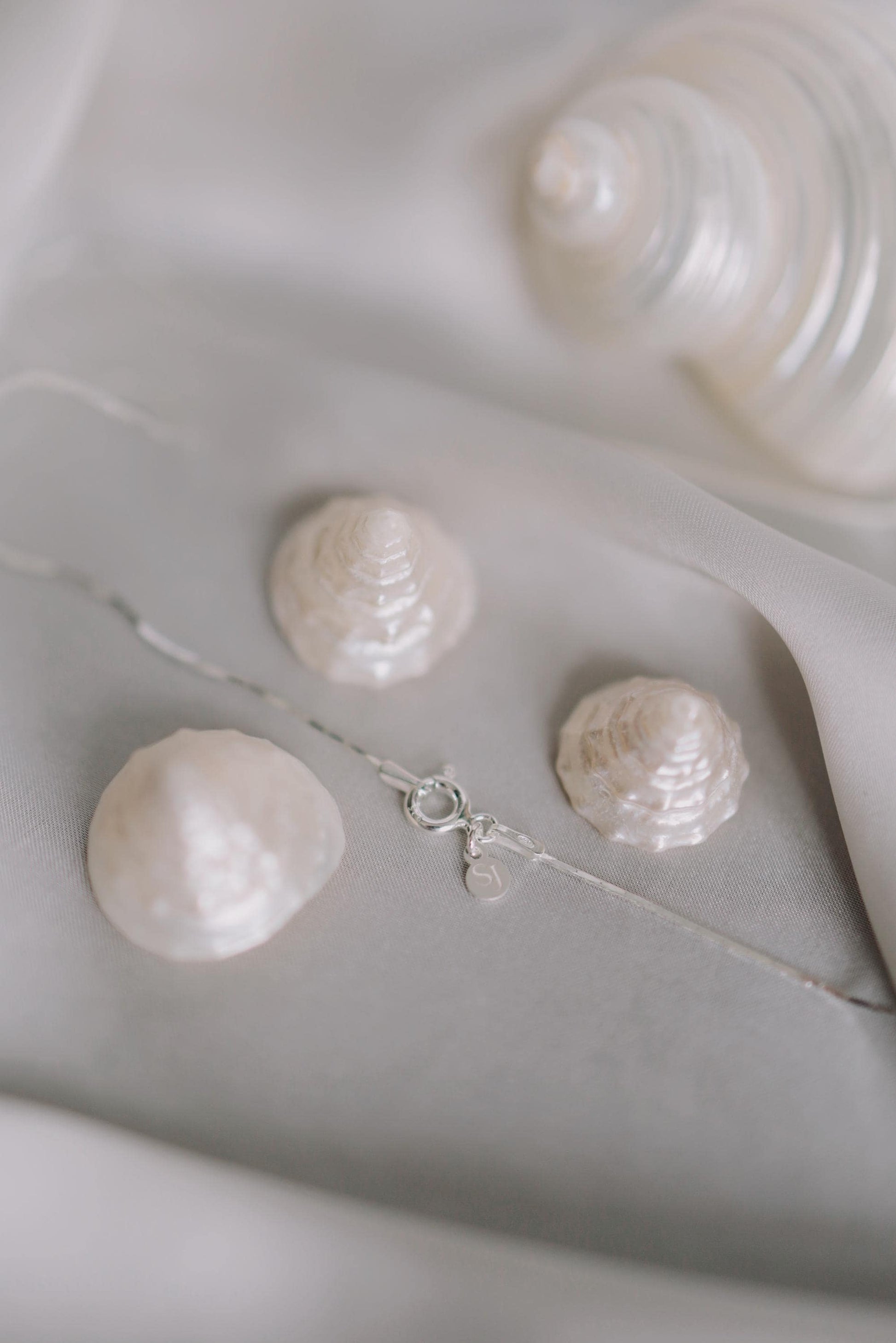 Feine Kette Silber mit Muschel Anhänger • 925 Sterling Silber • MARÉE