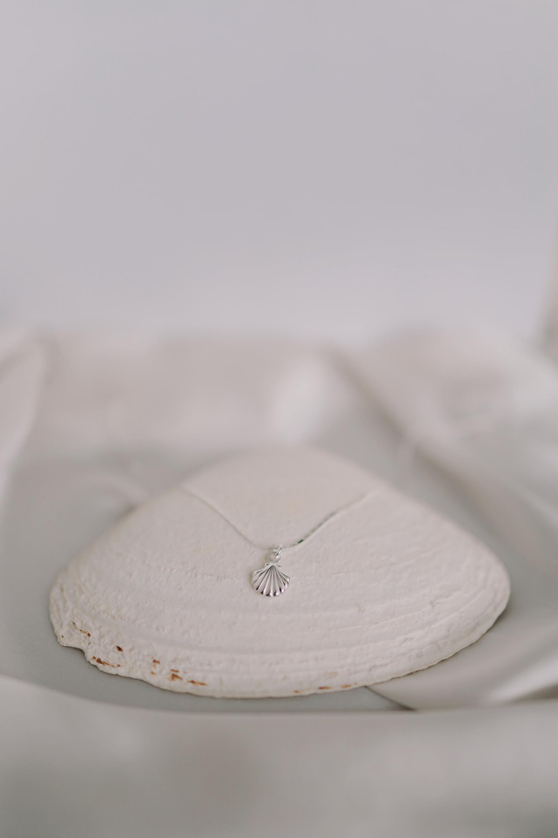 Feine Kette Silber mit Muschel Anhänger • 925 Sterling Silber • MARÉE