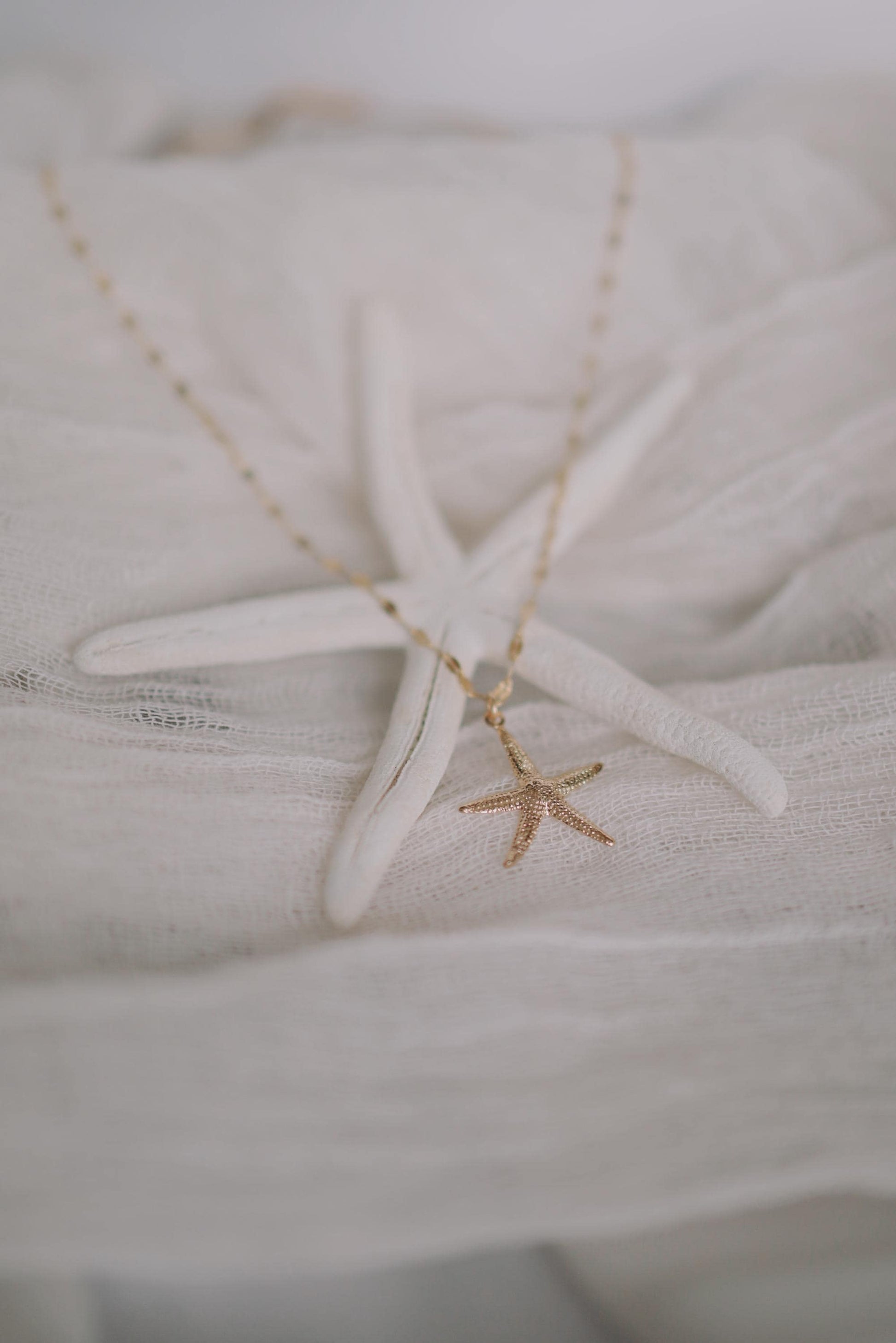 Funkelnde Kette mit Seestern Anhänger Gold • 14k Gold Filled • ODINE