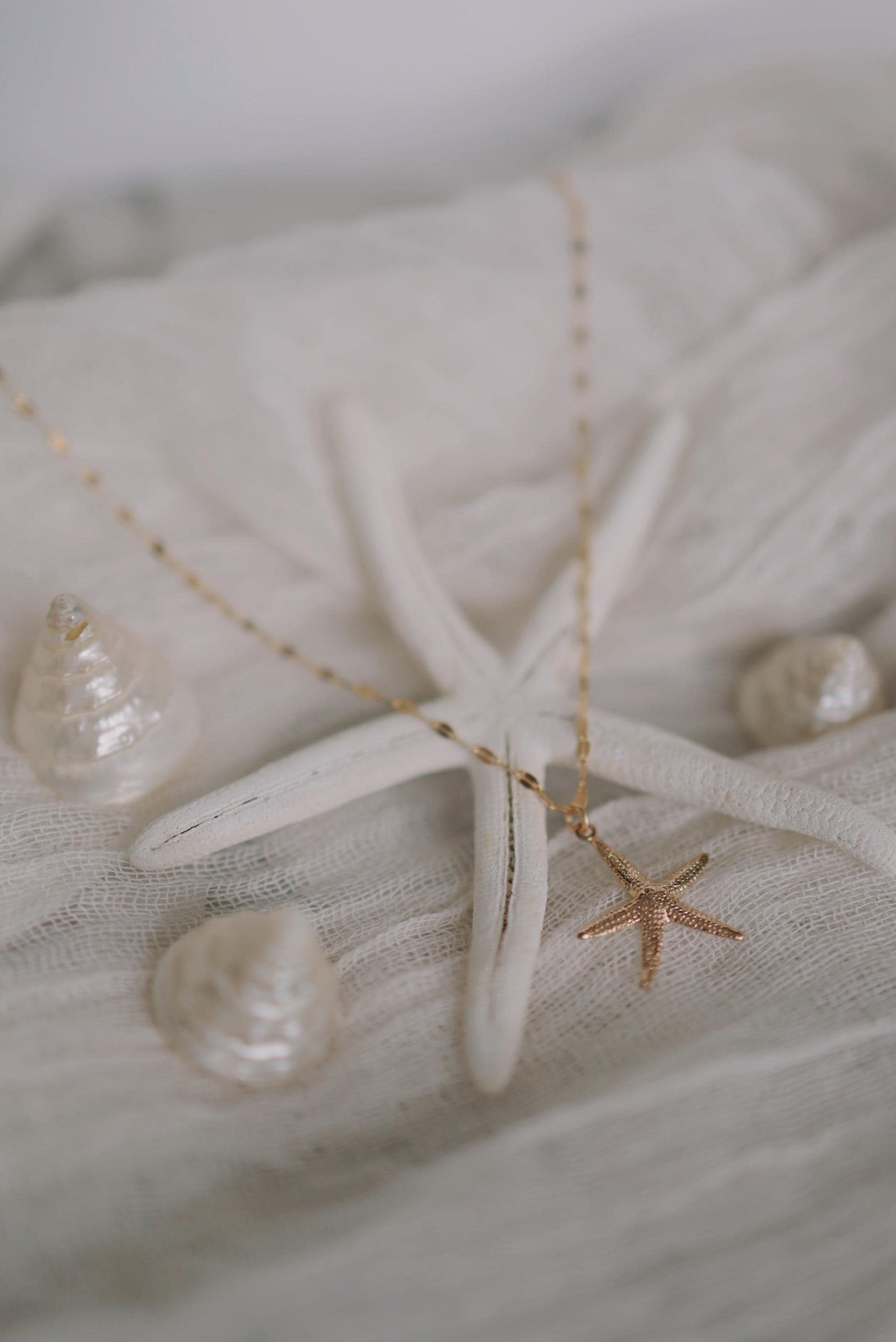 Funkelnde Kette mit Seestern Anhänger Gold • 14k Gold Filled • ODINE