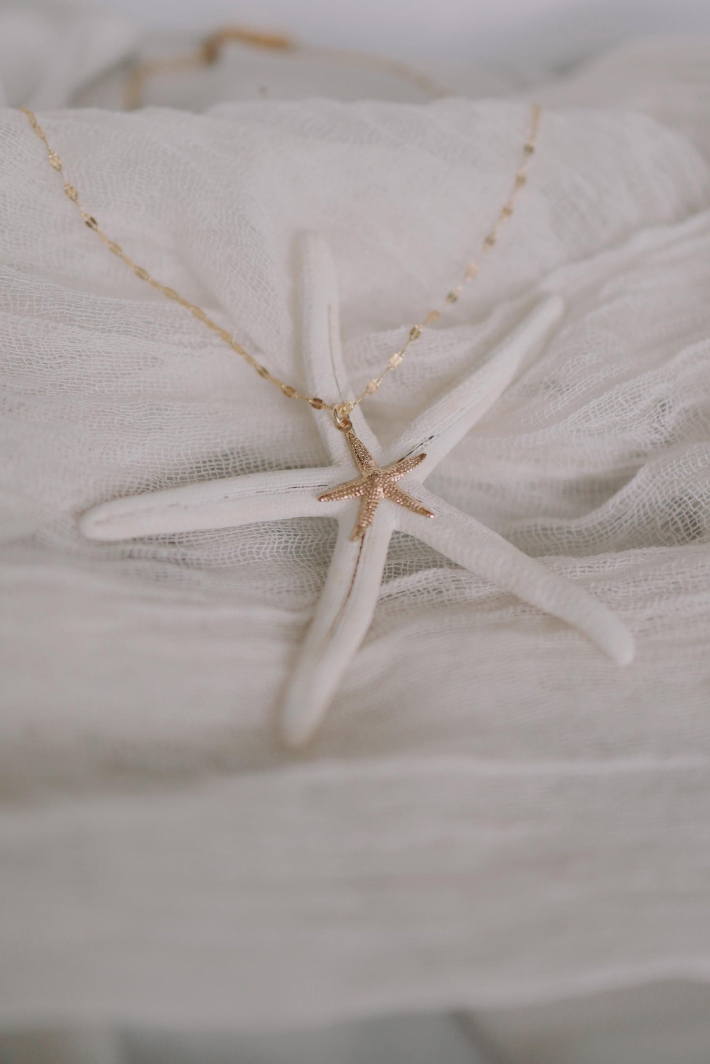 Funkelnde Kette mit Seestern Anhänger Gold • 14k Gold Filled • ODINE