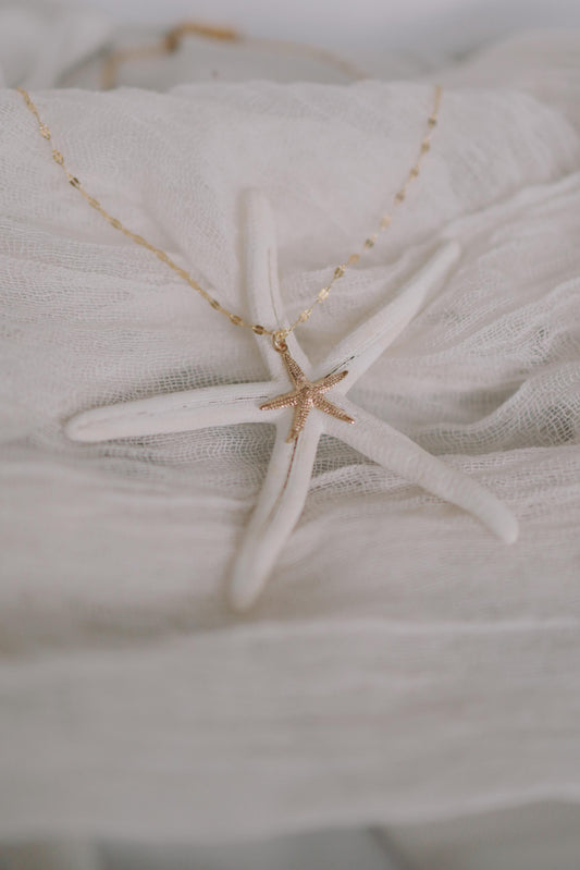 Funkelnde Kette mit Seestern Anhänger Gold • 14k Gold Filled • ODINE