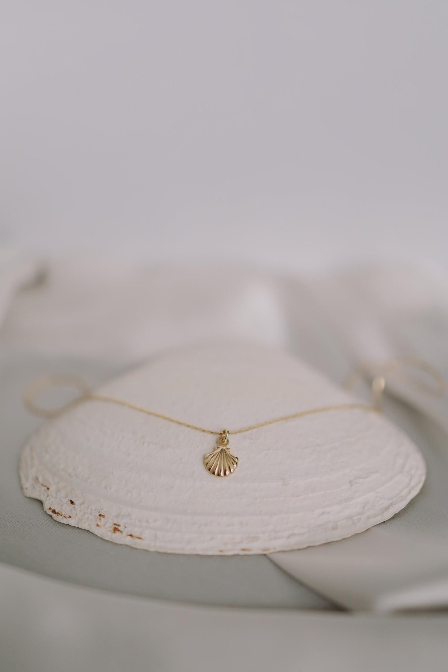 Feine Kette Gold mit Muschel Anhänger • 18K Gold Vermeil • MARÉE