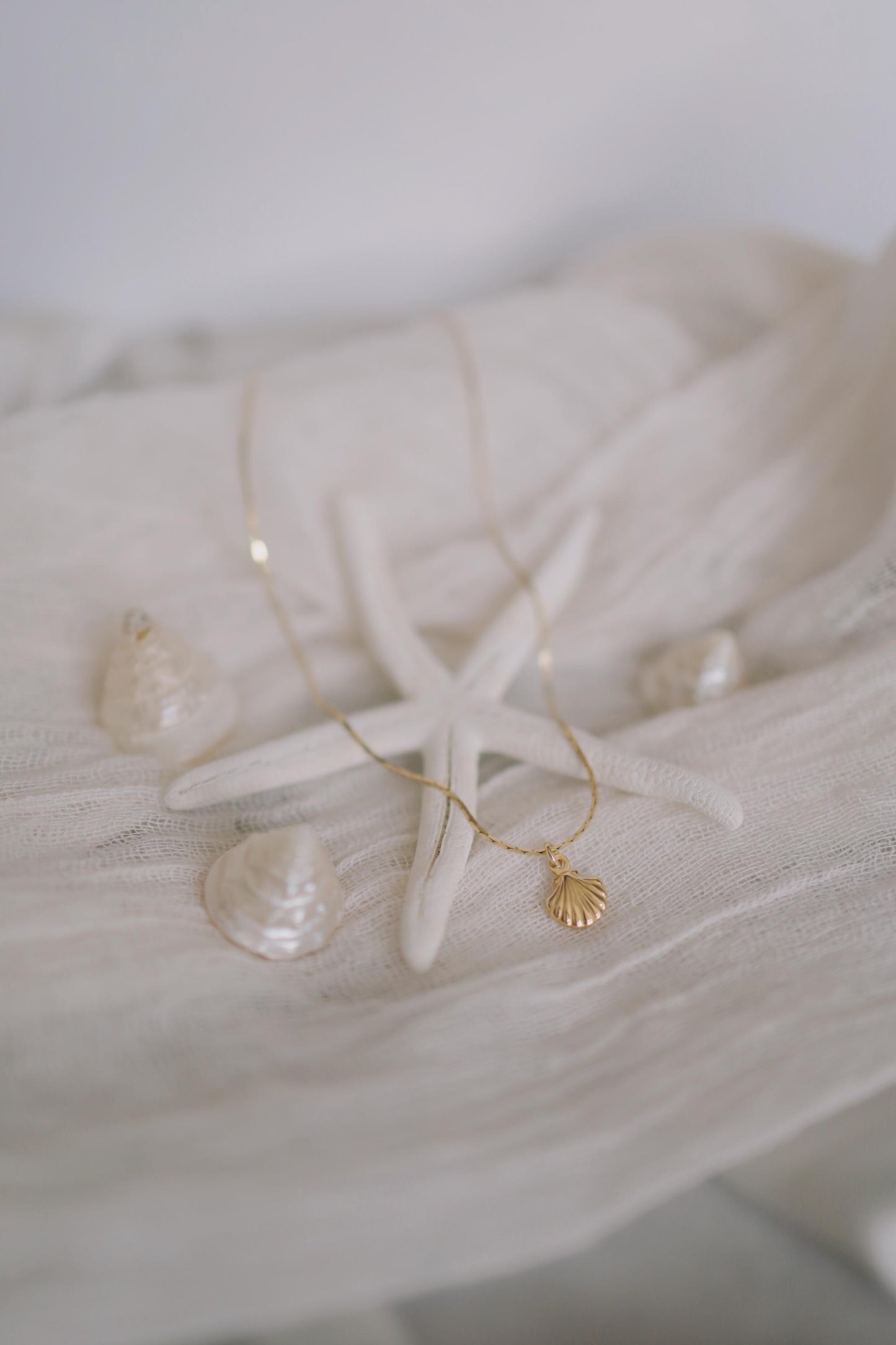 Feine Kette Gold mit Muschel Anhänger • 18K Gold Vermeil • MARÉE