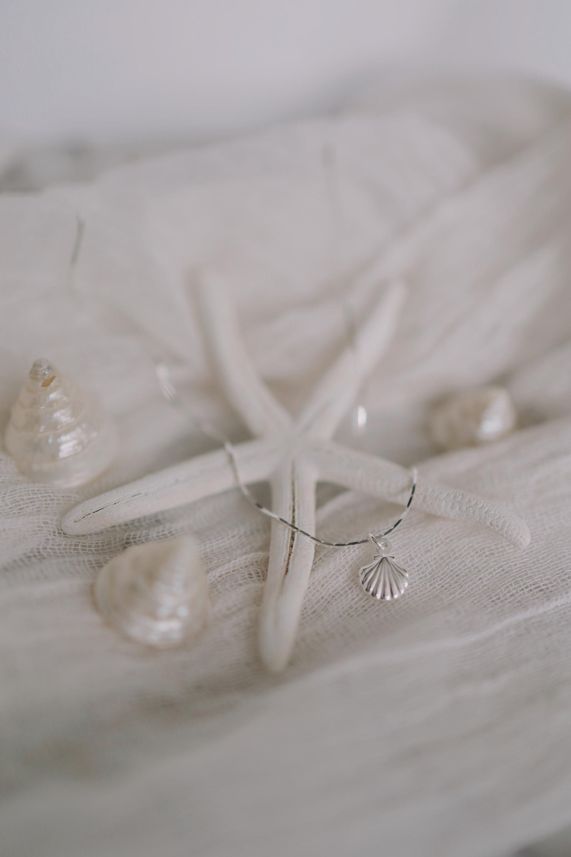 Feine Kette Silber mit Muschel Anhänger • 925 Sterling Silber • MARÉE