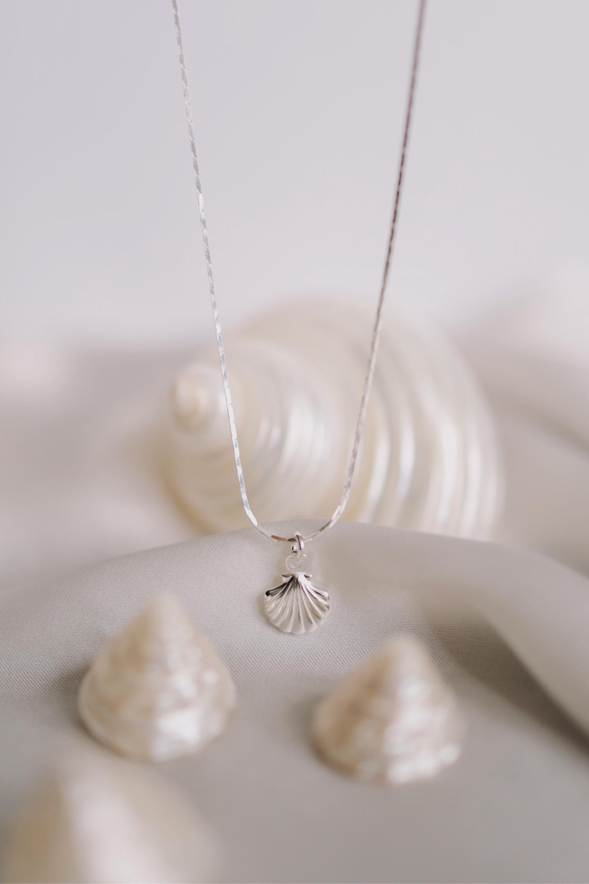 Feine Kette Silber mit Muschel Anhänger • 925 Sterling Silber • MARÉE