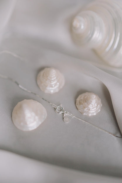 Feine Kette Silber mit Muschel Anhänger • 925 Silber • SHELL
