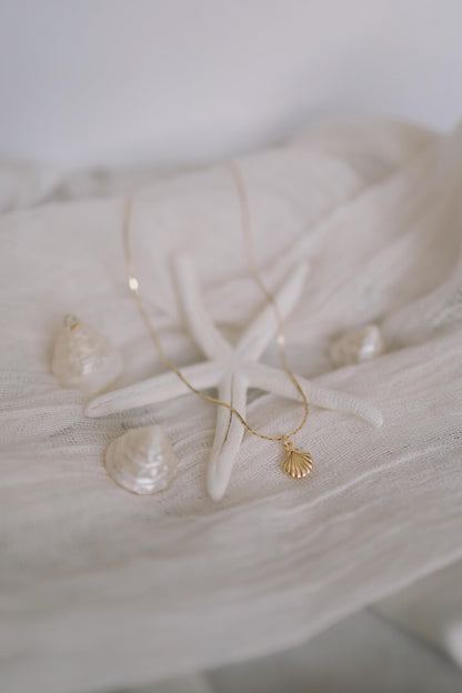 Feine Kette Gold mit Muschel Anhänger • 18K Gold Vermeil • MARÉE