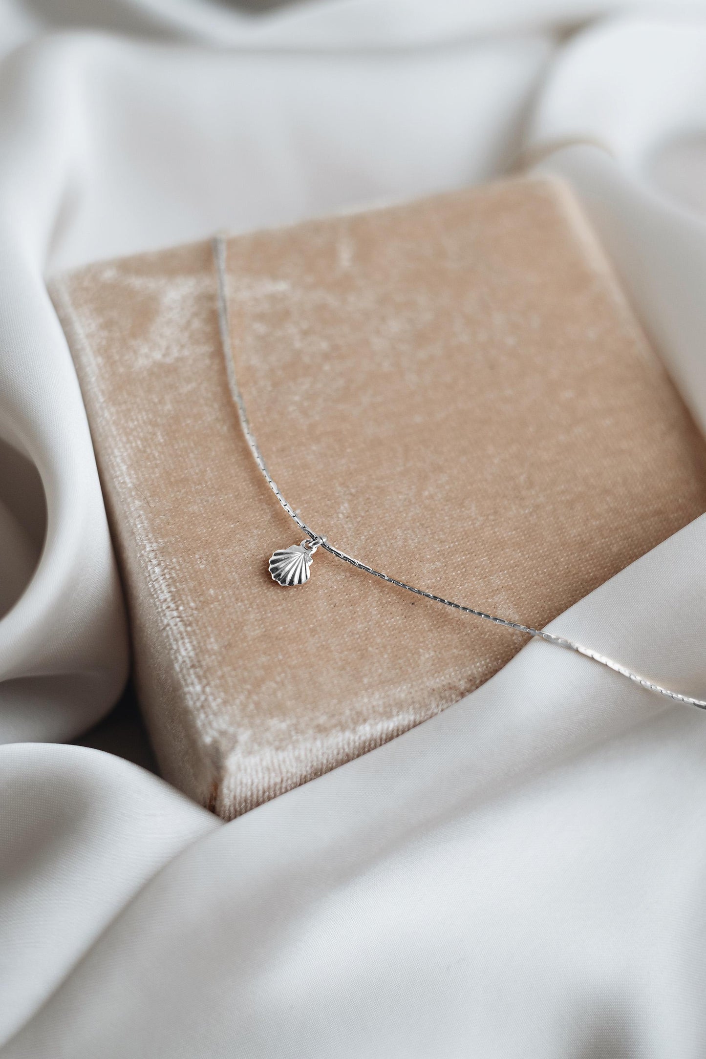 Feine Kette Silber mit Muschel Anhänger • 925 Silber • SHELL