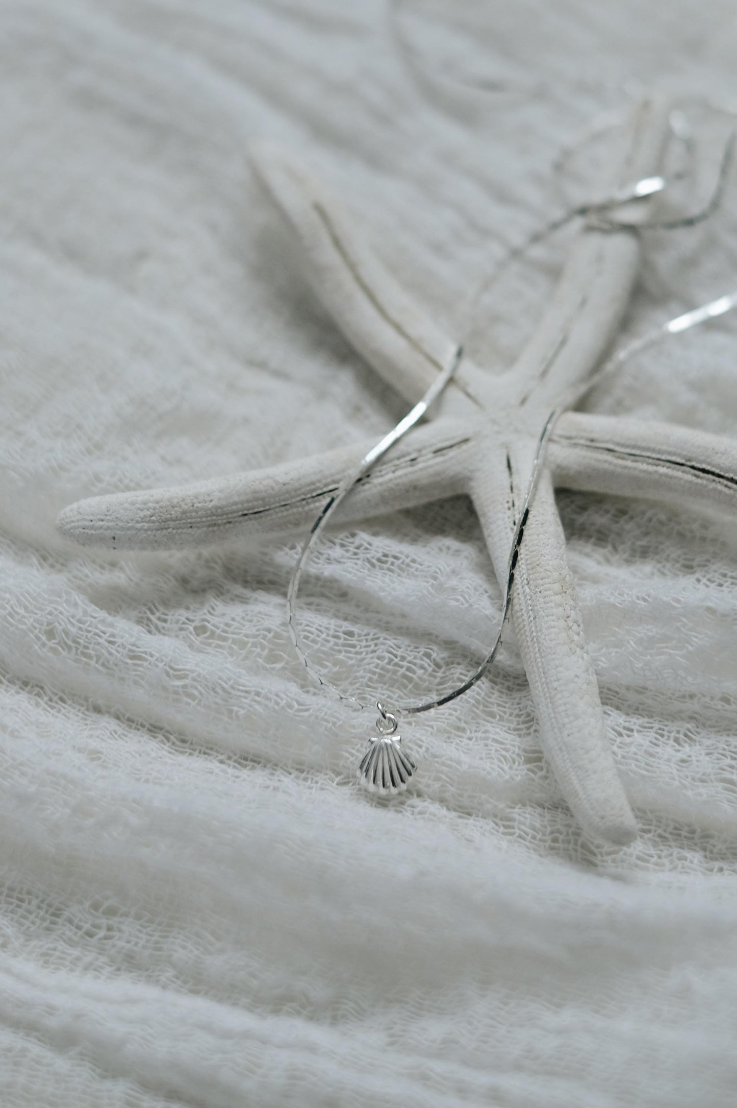 Feine Kette Silber mit Muschel Anhänger • 925 Silber • SHELL