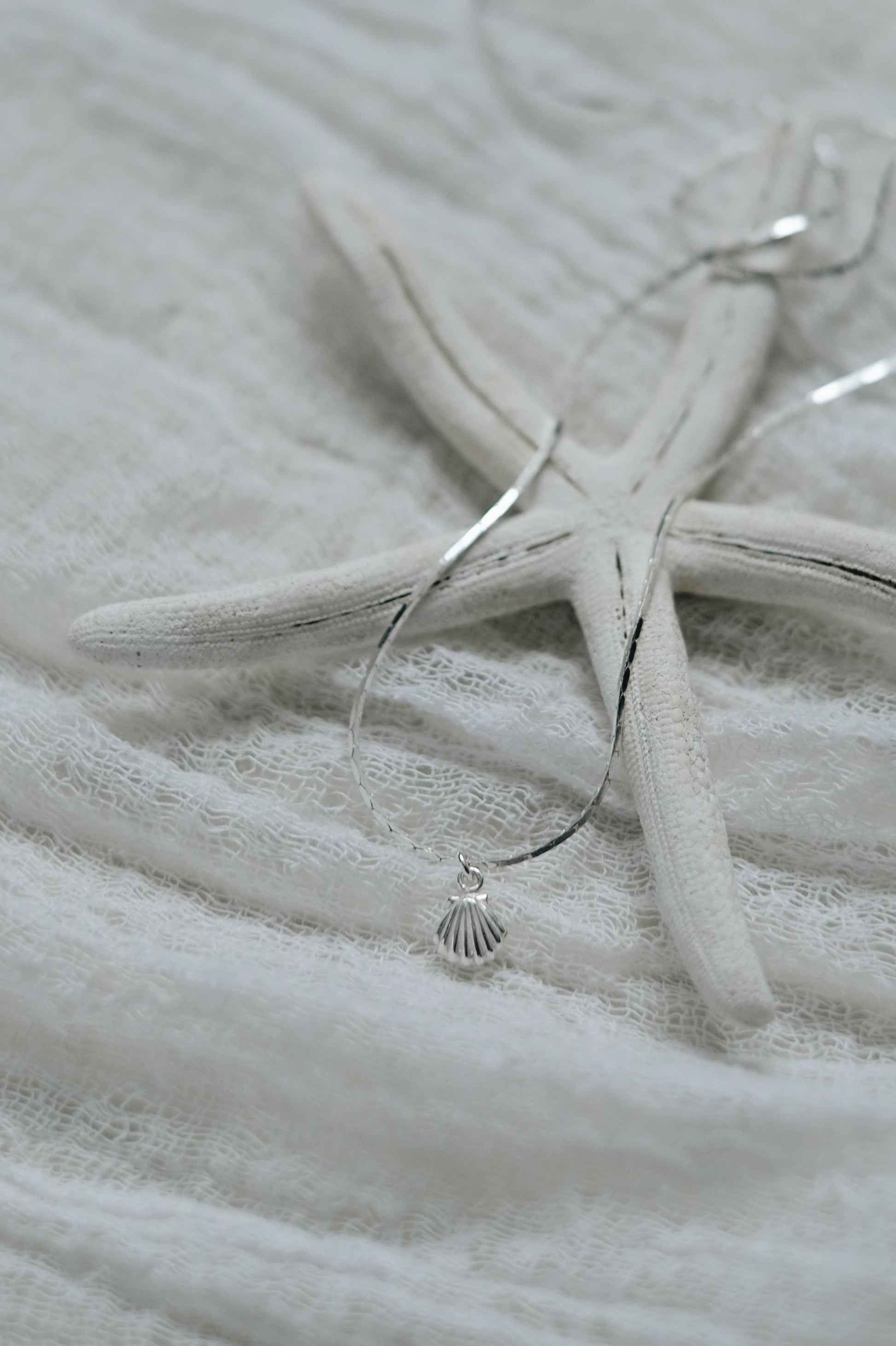 Feine Kette Silber mit Muschel Anhänger • 925 Silber • SHELL