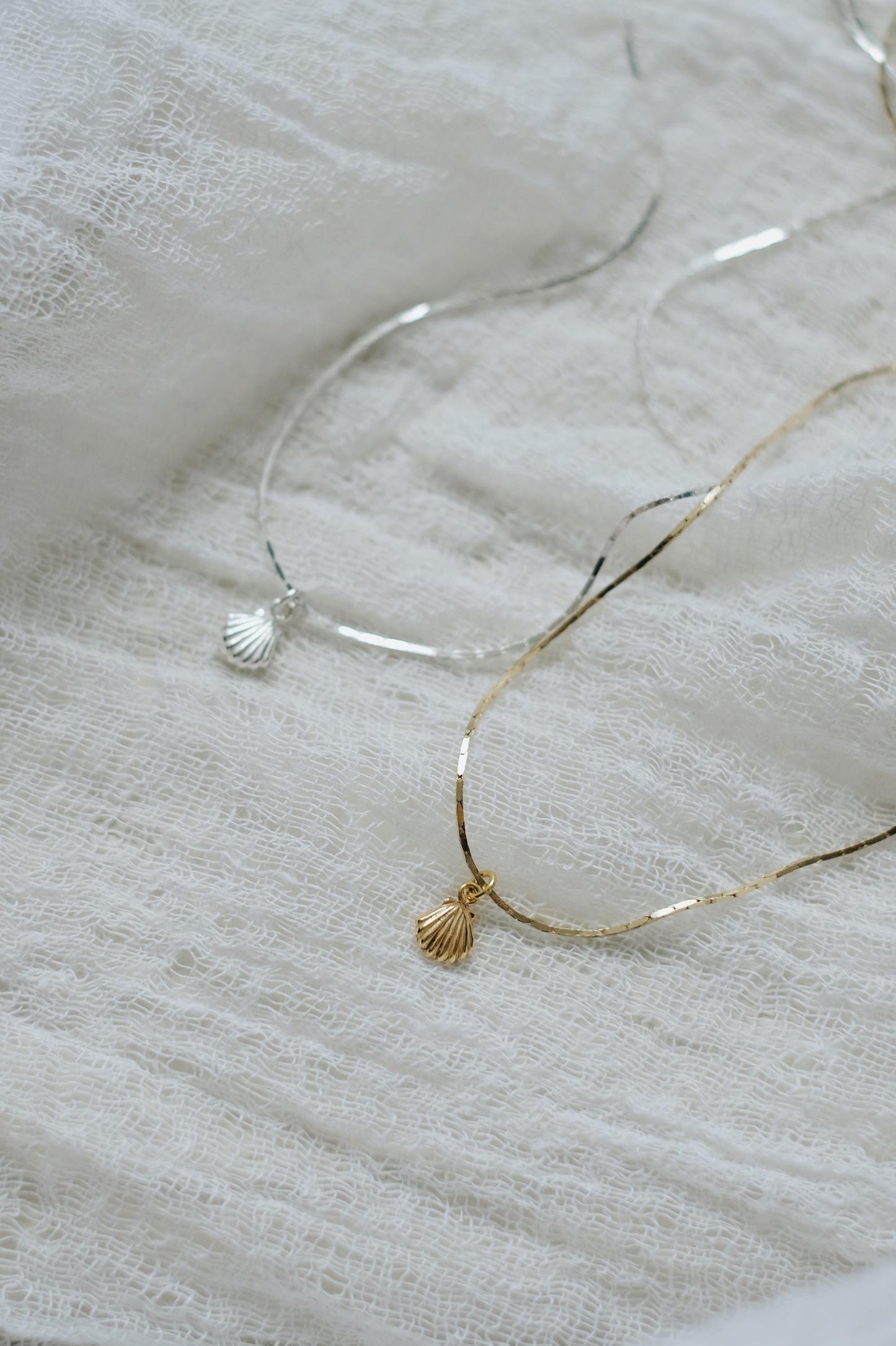 Feine Kette Silber mit Muschel Anhänger • 925 Silber • SHELL