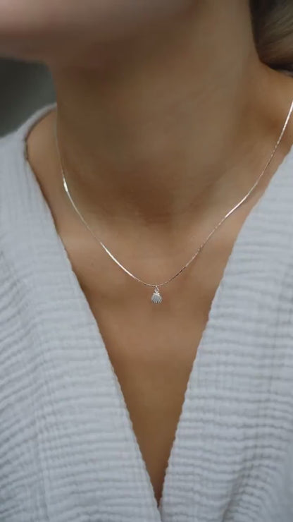 Feine Kette Silber mit Muschel Anhänger • 925 Silber • SHELL